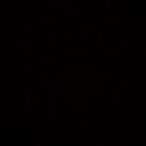 Meet your Posher, Shirley